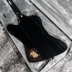Epiphone Rex Brown Thunderbird Ebony_6