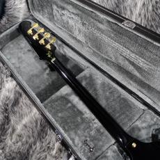 Epiphone Rex Brown Thunderbird Ebony_7