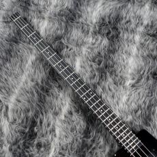 Steinberger Spirit XT-2 Standard Black_3
