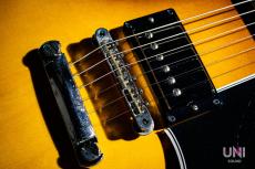 Gibson ES-335 / 2012_4