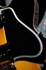 Gibson ES-335 / 2012_5