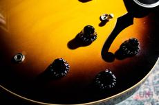 Gibson ES-335 / 2012_6