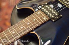 SCHECTER 2015 RJ-1-24-VTR (See-thru Blue)_5