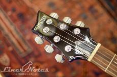 SCHECTER 2015 RJ-1-24-VTR (See-thru Blue)_7