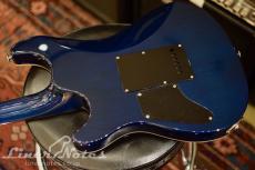 SCHECTER 2015 RJ-1-24-VTR (See-thru Blue)_8