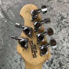 MUSIC MAN Steve Morse Hardtail【USED】_8