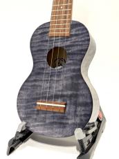 Famous FS-S10/BK_2