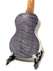 Famous FS-S10/BK_5
