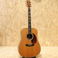 Martin D-45 2007_3