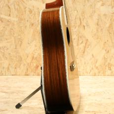 Martin D-45 2007_4