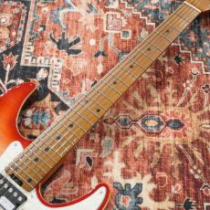 SCHECTER JAPAN SD-2-24-AL-VTR-FM/RDSB/RM【SPOTモデル】 【日本製】 【特価】_4