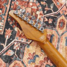 SCHECTER JAPAN SD-2-24-AL-VTR-FM/RDSB/RM【SPOTモデル】 【日本製】 【特価】_6