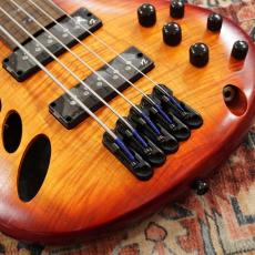 Ibanez SRD905F-BTL (Brown Topaz Burst Low Gloss)【フレットレスベース】【アウトレット特価】_3