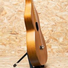 Gold Tone Style-4+ 2010's_4