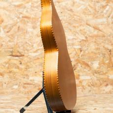 Gold Tone Style-4+ 2010's_5
