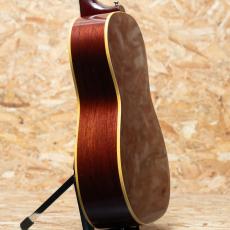Gibson B-25 1965_5