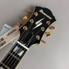 Ibanez PM200 NT パットメセニーモデル エレキギター_4
