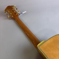 Ibanez PM200 NT パットメセニーモデル エレキギター_7