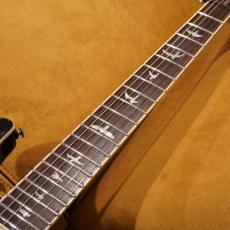 Paul Reed Smith [PRS] SE Custom 22 Semi- Hollow Quilt_4