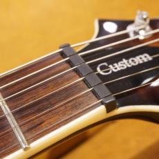 Paul Reed Smith [PRS] SE Custom 22 Semi- Hollow Quilt_5