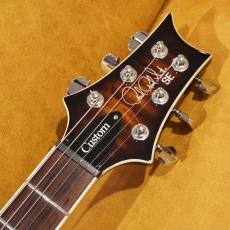 Paul Reed Smith [PRS] SE Custom 22 Semi- Hollow Quilt_6