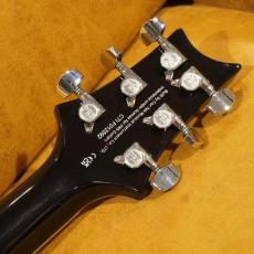 Paul Reed Smith [PRS] SE Custom 22 Semi- Hollow Quilt_11