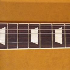 Gibson Les Paul Traditional Premium Plus 2019_8