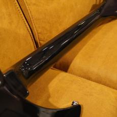 Rickenbacker 325v63 JG|2000_10