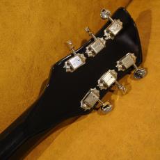 Rickenbacker 325v63 JG|2000_11