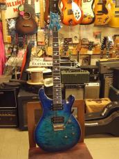 Paul Reed Smith [PRS] SE Custom24 Quilt Packege (2025)_2