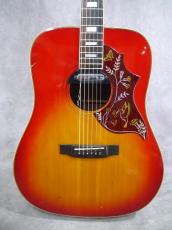 CANDA  202 '70s Hummingbird Model_3