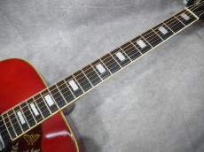CANDA  202 '70s Hummingbird Model_6