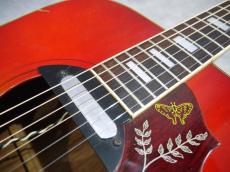 CANDA  202 '70s Hummingbird Model_7
