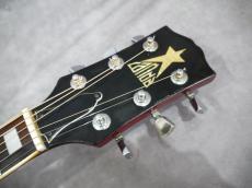 CANDA  202 '70s Hummingbird Model_10