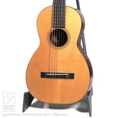 IINUMA GUITARS Model-2
