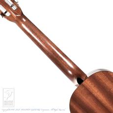 IINUMA GUITARS Model-2_6