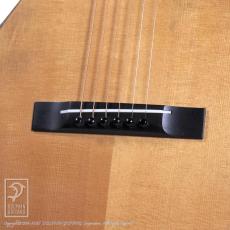 IINUMA GUITARS Model-2_10