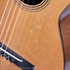 IINUMA GUITARS Model-2_12