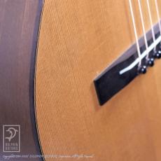 IINUMA GUITARS Model-2_13