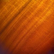 Taylor 【超美品中古!!】【試奏動画あり】224ce-Koa DLX '22 【極美杢目個体】【アタックの強い高音が魅力】【送料当社負担】【池袋店在庫品】_17