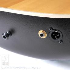 Ovation Custom Legend 1769-4_11
