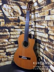 ESTEVE エステベ Model:ELEC Cdr オール単板 エレガット 【日本総本店2F 在庫品】