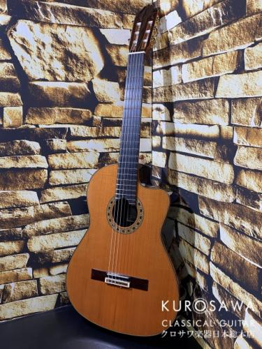 ESTEVE エステベ Model:ELEC Cdr オール単板 エレガット 【日本総本店2F 在庫品】