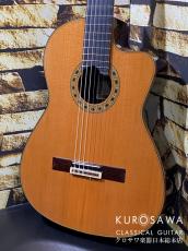 ESTEVE エステベ Model:ELEC Cdr オール単板 エレガット 【日本総本店2F 在庫品】_2