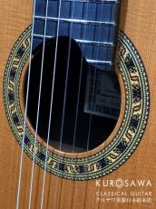 ESTEVE エステベ Model:ELEC Cdr オール単板 エレガット 【日本総本店2F 在庫品】_3