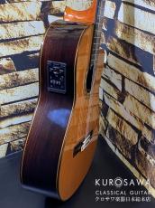 ESTEVE エステベ Model:ELEC Cdr オール単板 エレガット 【日本総本店2F 在庫品】_7