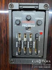 ESTEVE エステベ Model:ELEC Cdr オール単板 エレガット 【日本総本店2F 在庫品】_10