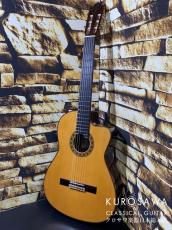 ESTEVE エステベ Model:ELEC Spr オール単板 エレガット 【日本総本店2F 在庫品】