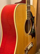Gibson 2024年製　DOVE Original   ♯20794070【無金利分割OK】【送料込み】_4