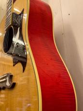 Gibson 2024年製　DOVE Original   ♯20794070【無金利分割OK】【送料込み】_5